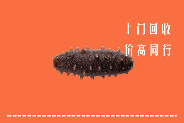 高价求购：长沙县回收海参